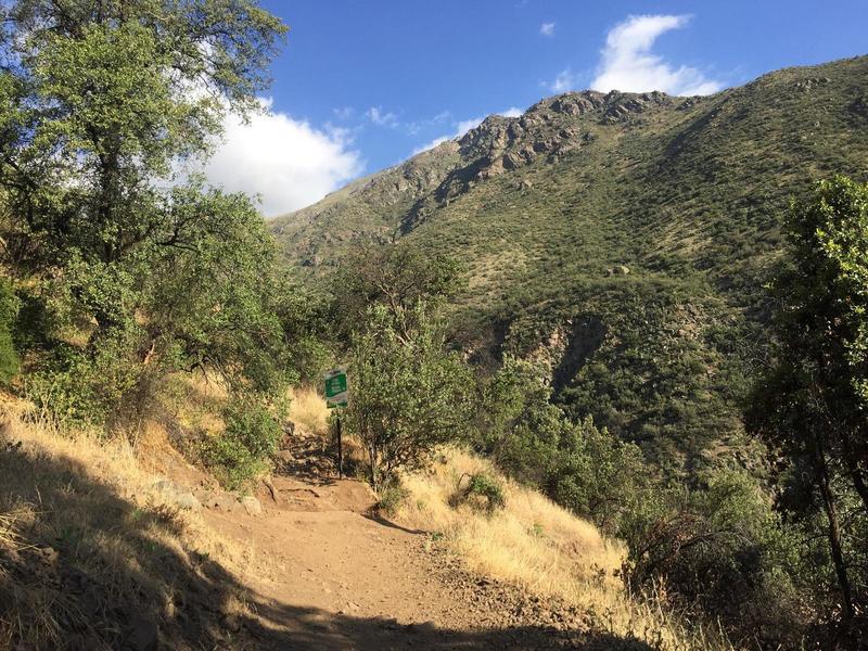Beginning of the Cerro La Cruz Trail.