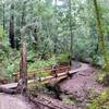 Bridge on Skyline to the Sea Trail