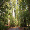 Redwoods State Park