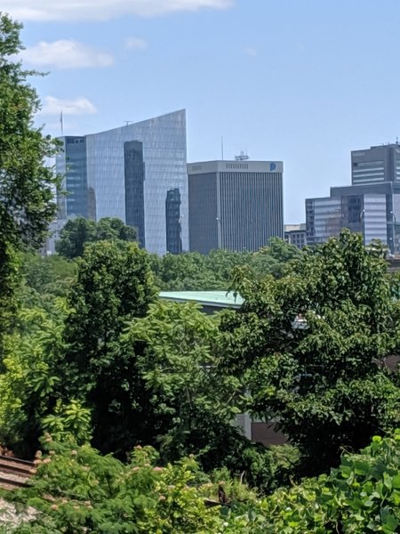 Downtown Richmond from North Bank.