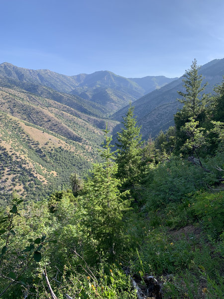 Views of Green Canyon.