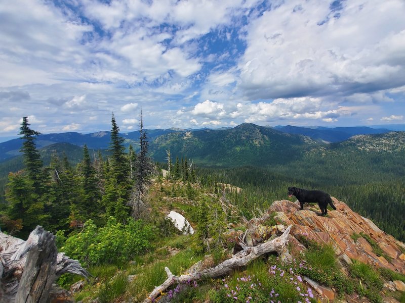 View from the peak.