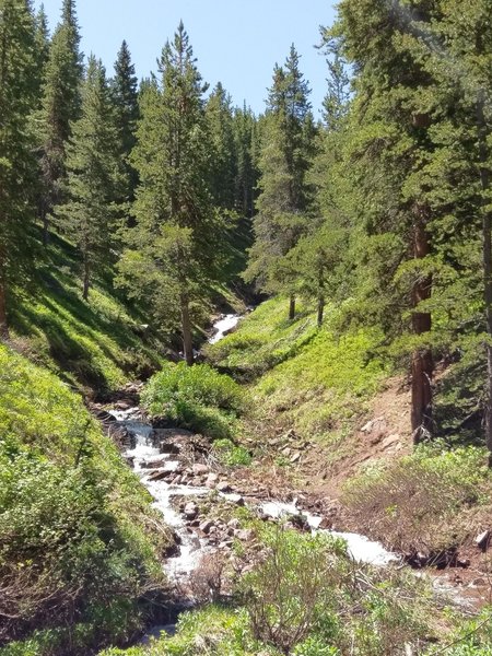 Lots of spring runoff flows through this ravine.