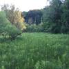 Wetland field from boardwalk.