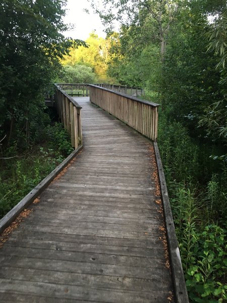 Boardwalk through wetland approaching viewing platform.