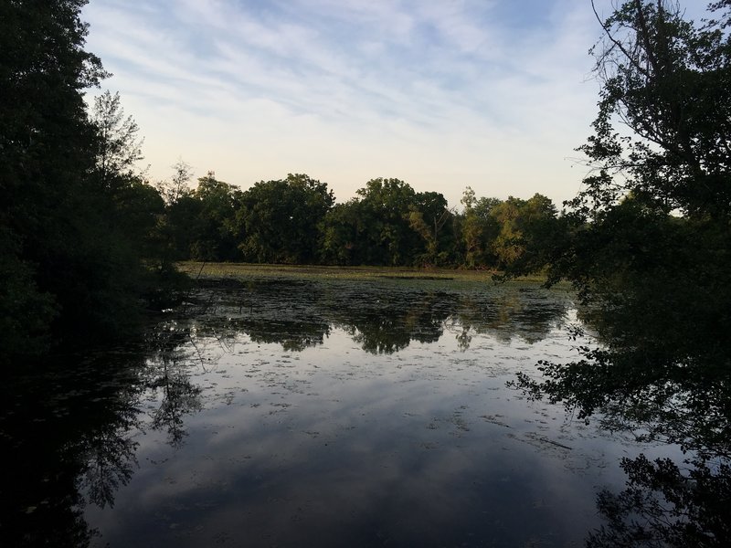 View north from walking bridge.