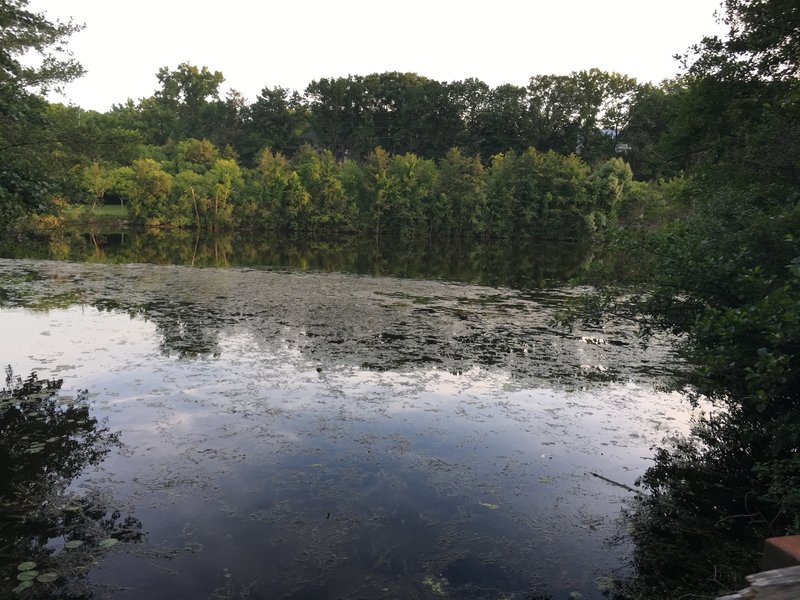 View south from walking bridge.