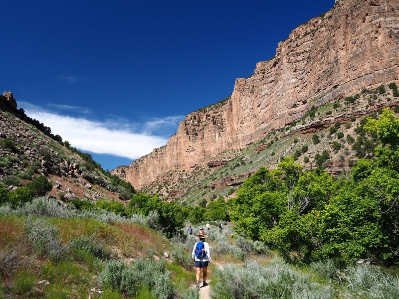 Along the Jones Hole Trail from the river.