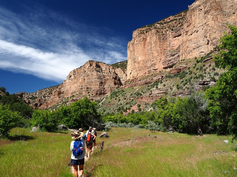 Crossing one of the meadows along the trail.