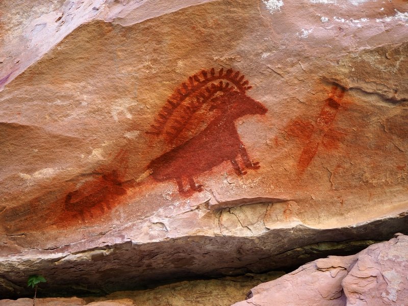 Fremont Culture petroglyphs in Jones Hole.