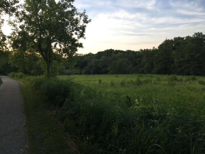 Field north of Gallup Park Pathway.