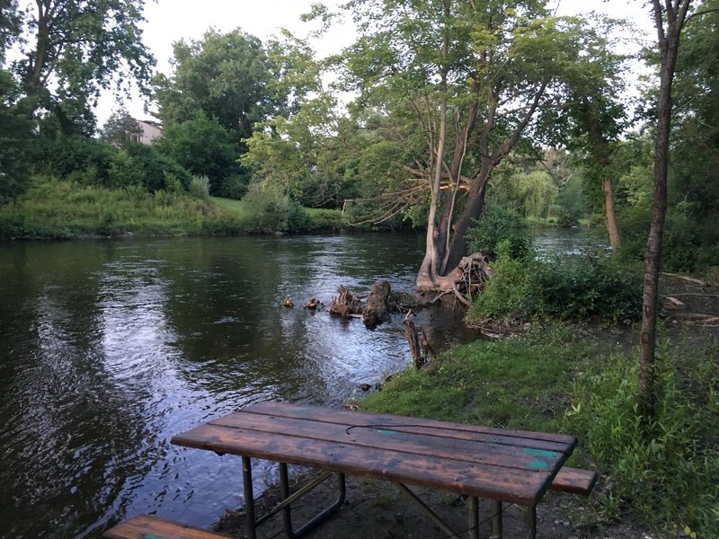 High water on Huron River off of Gallup Park Pathway.