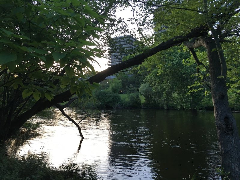 Looking across Huron River towards Huron Towers Apartments.