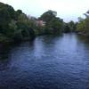 On bridge over Huron River facing east.