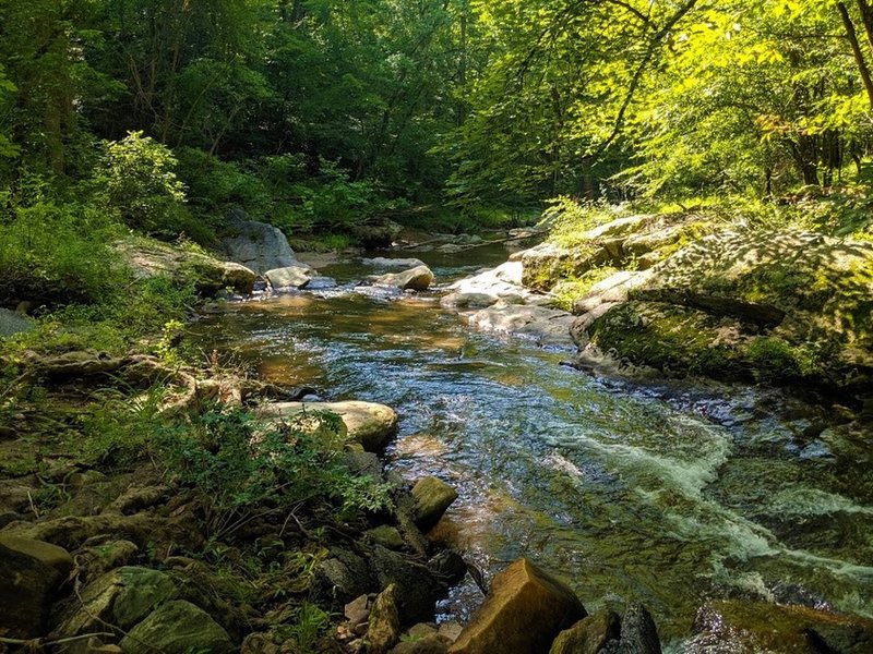 View of the rocky Bryce Run stream near the Bryce Run Connector.