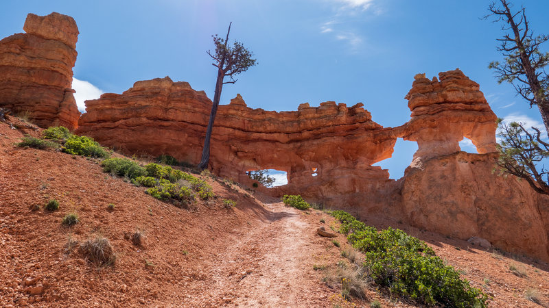 The steep trail leads to Little Windows.