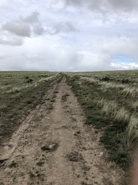 Idaho Centennial Trail - looking north.