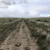 Idaho Centennial Trail - looking north.