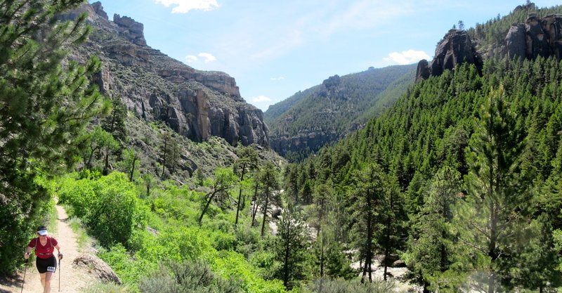 Tongue River Canyon