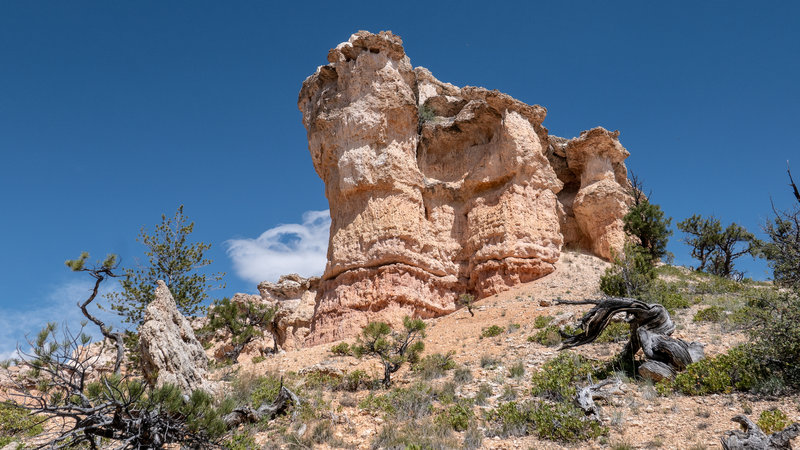 Amazing sandstone colors.