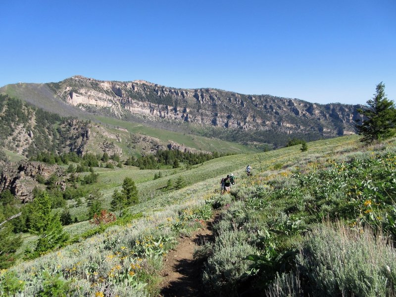 The "Wall" was lots of fun to run down yesterday afternoon. It's a lot less fun to come back up in the morning.