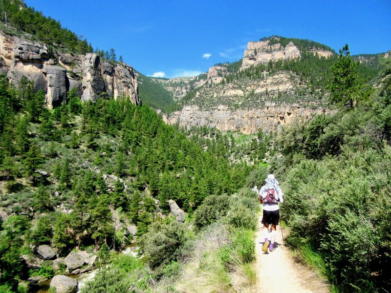 Tongue River Canyon