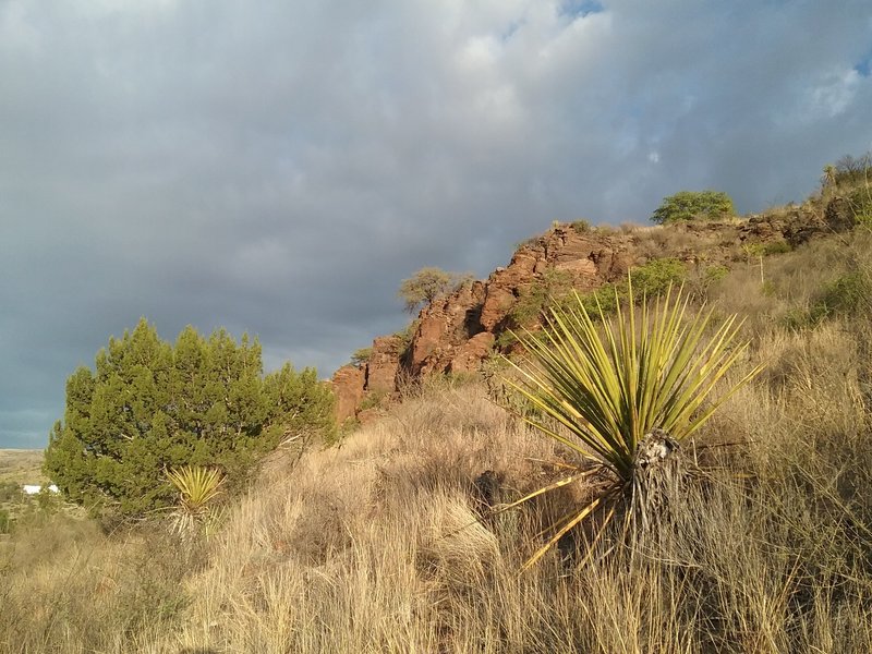 Looking north on the trail.