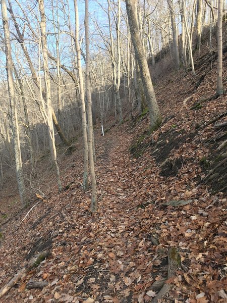 Cliffside Trail