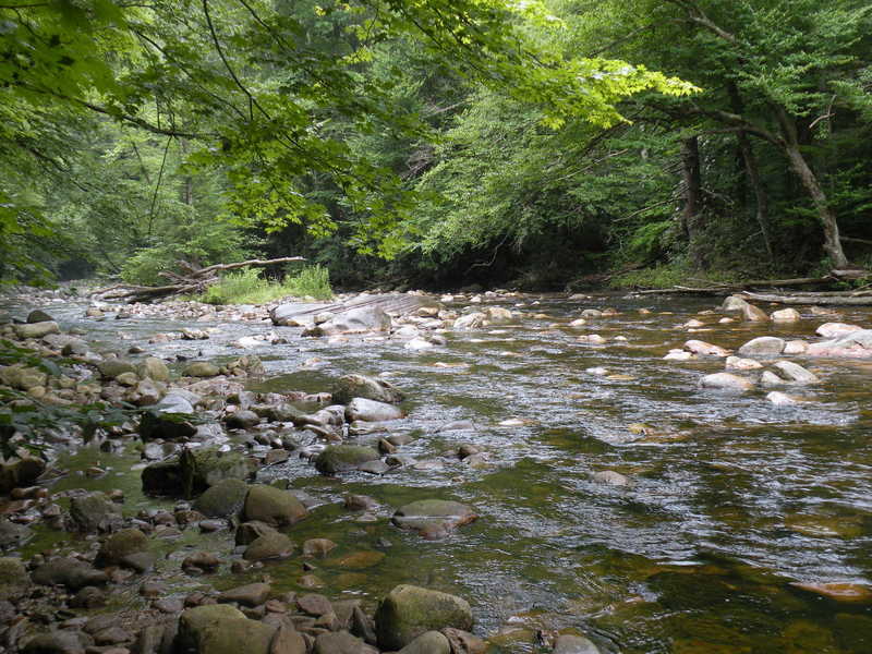 This is the Big Springs Gap Trail as it crosses Otter Creek. The crossing is about 15m wide and necessary to gain access to Otter Creek Trail.