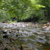 This is the Big Springs Gap Trail as it crosses Otter Creek. The crossing is about 15m wide and necessary to gain access to Otter Creek Trail.