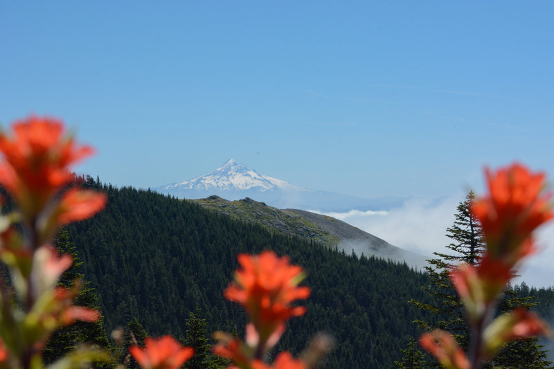 Mt Hood from Sturgeon Rock