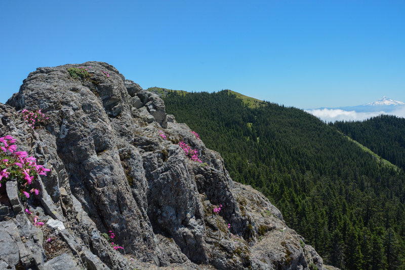 Splashes of pink on the tip top of Sturgeon Rock with Silver Star's peaks center back and Hood to the right