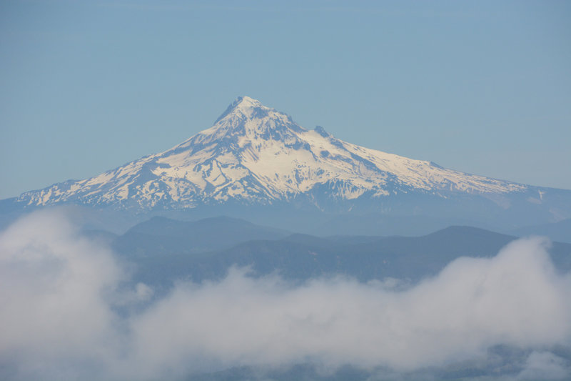 Mt. Hood trying to steal the show