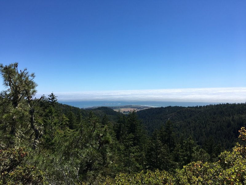 Chalk Mountain view of Año Nuevo Island