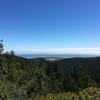 Chalk Mountain view of Año Nuevo Island