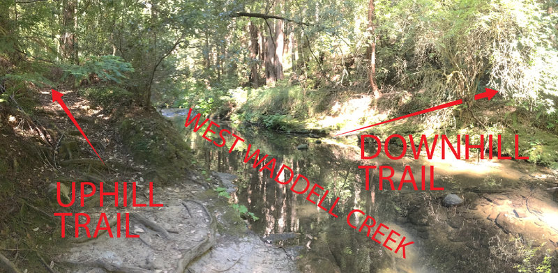 West Waddell Creek Crossing explained looking upstream. I honestly had to stop and walk around to notice the downhill section due to the water level.