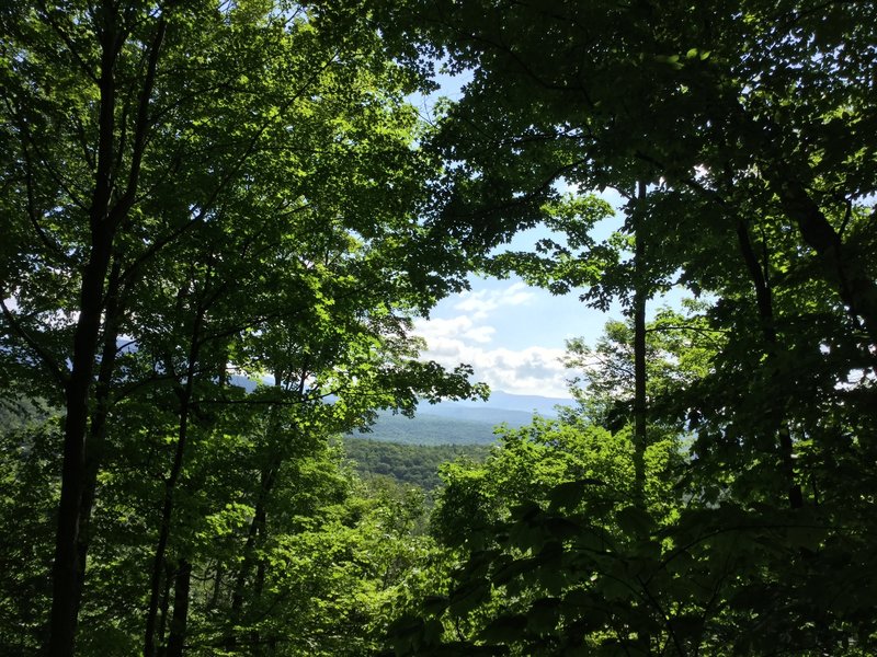 view from trail