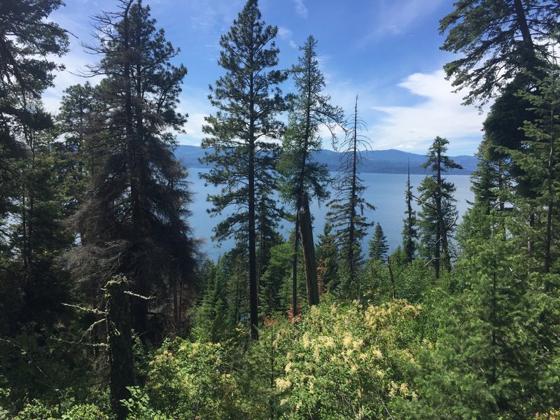 Flathead Lake view from Beardance Trail