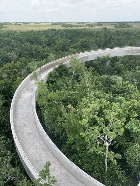 Shark Valley Observation Tower