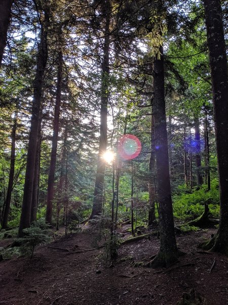 Morning in Backcountry Camp 38