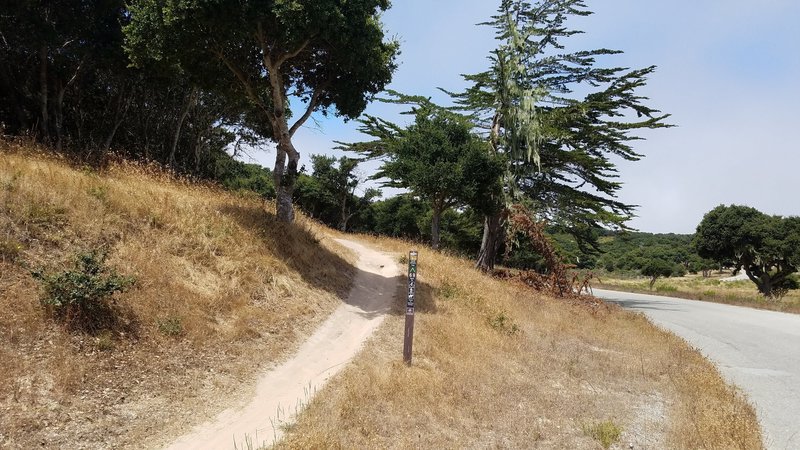 Fort Ord National Monument Trail 69 at Hennekens Ranch Rd.