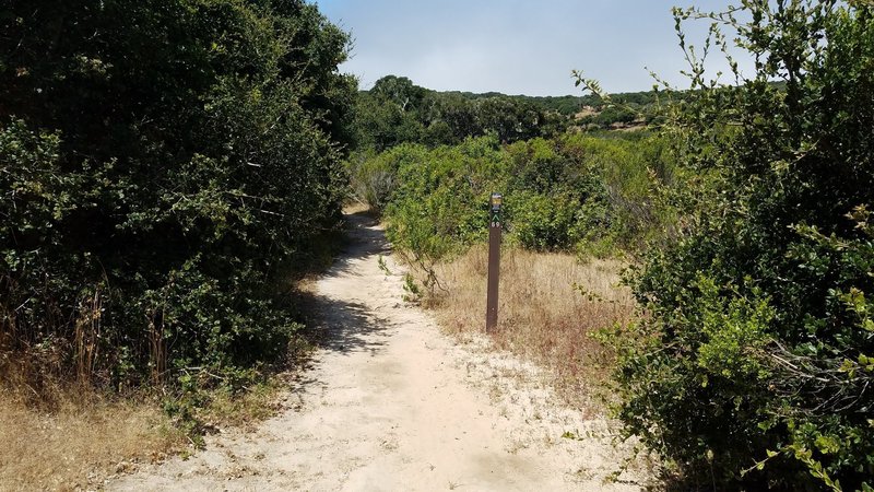 Fort Ord National Monument Trail 69 at Trail 14