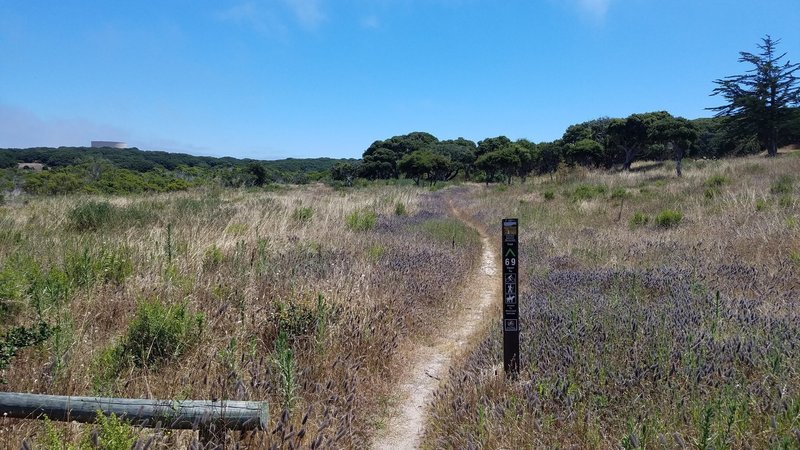 Fort Ord National Monument Trail 69 at Hennekens Ranch Rd