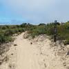 Fort Ord National Monument Trail 70