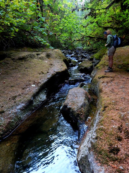 On the way up to Wolf Creek Falls