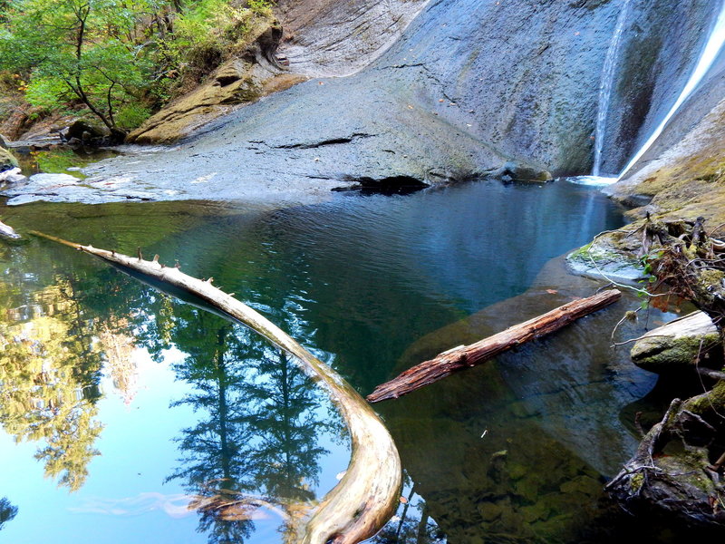 Wolf Creek Reflections