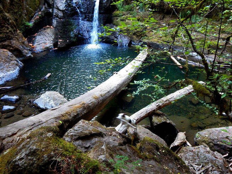 Wolf Creek, a small falls as the water leaves the pool below the larger water fall.