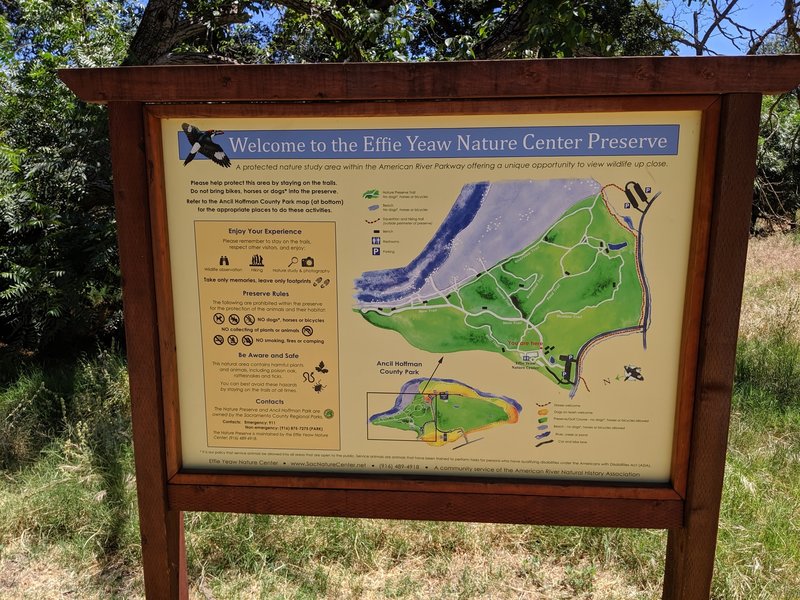 Trail map at Effie Yeaw Nature Center.