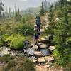 On the Sol Duc River Trail