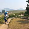 Stupid mountain goats on High Divide Trail